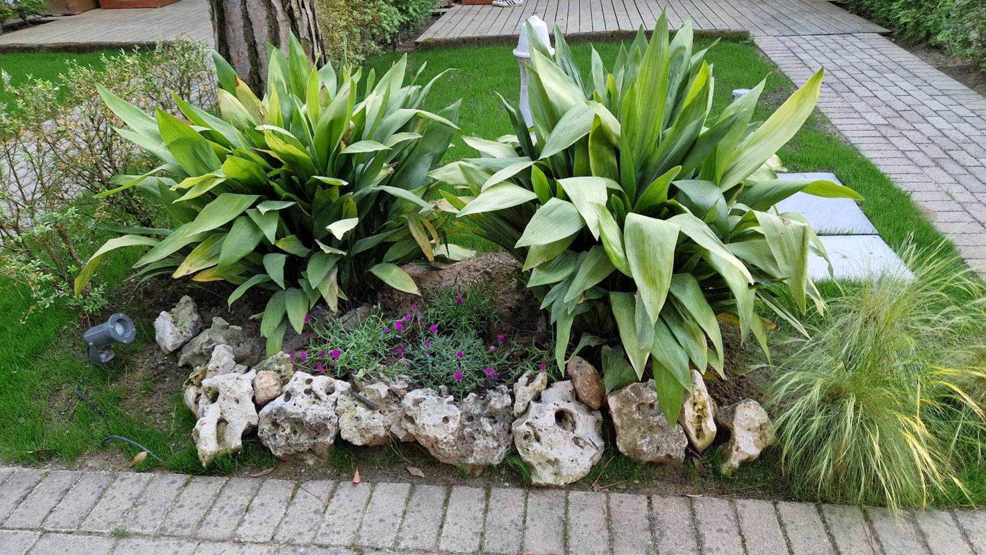 Apartment Gardenia Eraclea Mare